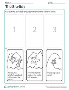 The Starfish