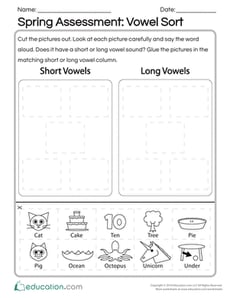 Spring Assessment: Vowel Sort