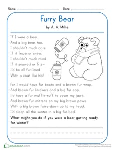 Furry Bear
