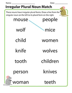 Irregular Plural Noun Match