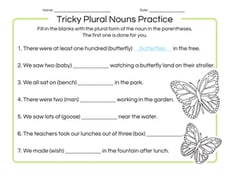 Tricky Plural Nouns Practice