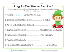 Irregular Plural Nouns Practice 2