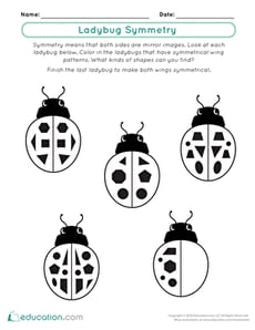 Ladybug Symmetry