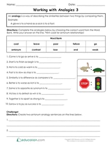 Working with Analogies 3