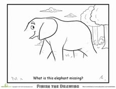 Finish the Drawing: What is this Elephant Missing?