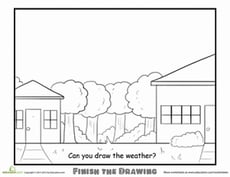 Complete the Picture