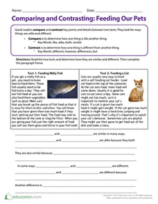 Comparing and Contrasting: Feeding our Pets