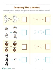 Counting Bird Addition