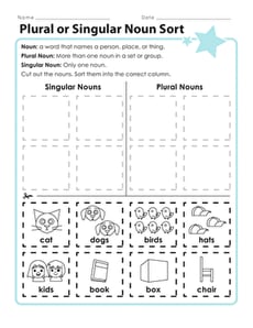 Plural or Singular Noun Sort