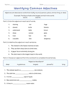 Identifying Common Adjectives