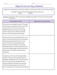 Adjectives as Key Details