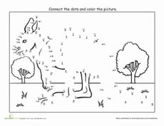 Kangaroo Dot to Dot