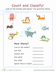 Count and Classify: Animals
