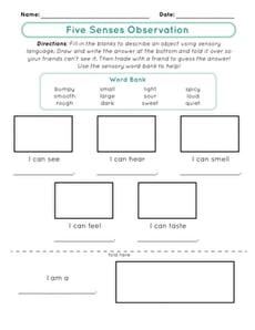 Five Senses Observation