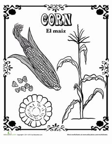 Corn in Spanish