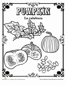 Pumpkin in Spanish