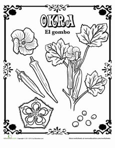 Okra in Spanish