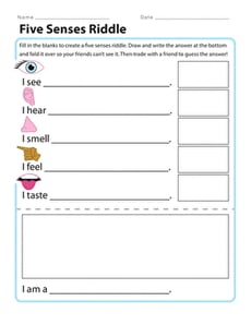 Five Senses Riddle