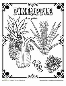 Pineapple in Spanish