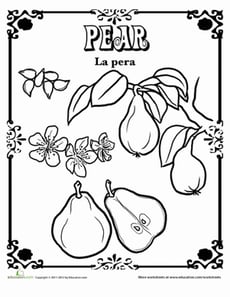 Pear in Spanish