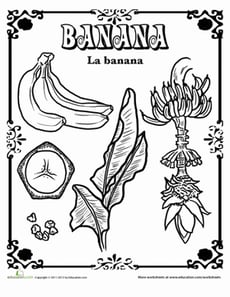Banana in Spanish