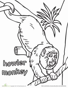 Howler Monkey Coloring Page