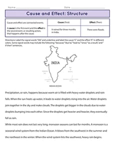 Cause and Effect: Structure