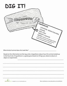 Fossils Worksheets: Dig It! #2
