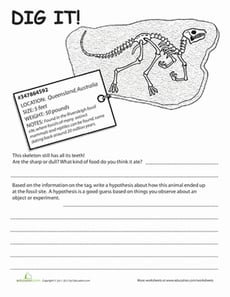 Fossil Lesson: Dig It! #5