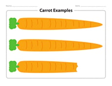 Carrot Examples