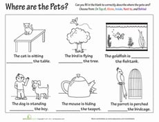 Preposition Practice