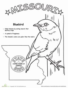 Missouri State Bird