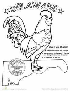 Delaware State Bird