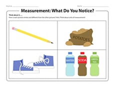 Measurement: What Do You Notice?