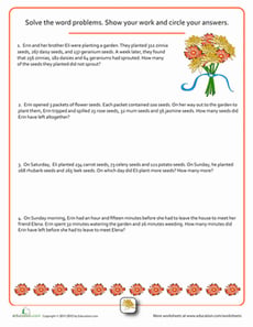 Word Problems: Flower Power