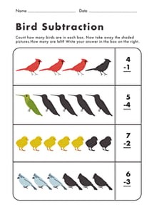 Bird Subtraction