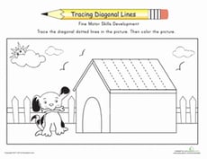 Complete the Dog House: Trace the Diagonal Lines