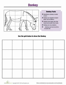 Horse Fun: Donkey