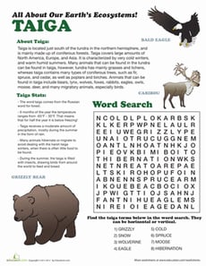 Taiga Ecosystem