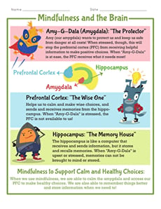 Mindfulness and the Brain