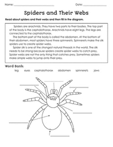 Spiders and Their Webs