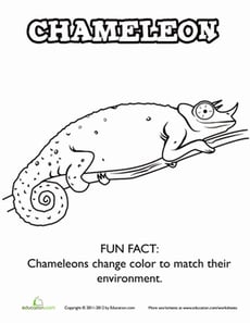 Chameleon Coloring
