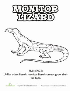 Monitor Lizard Coloring Page
