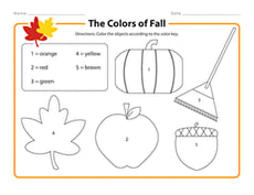 The Colors of Fall
