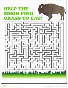 Bison Maze