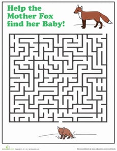 Fox Maze