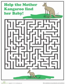 Kangaroo Maze