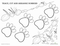 Counting Activity