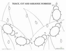 Trace, Cut and Arrange Numbers 5