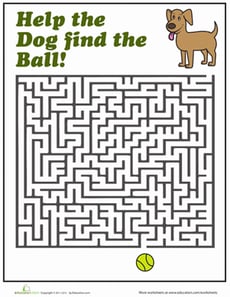 Dog Maze
